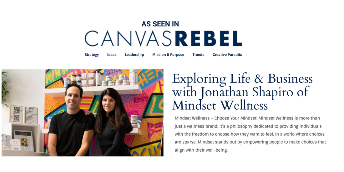 CanvasRebel: Exploring Life & Business with Jonathan Shapiro of Mindset Wellness